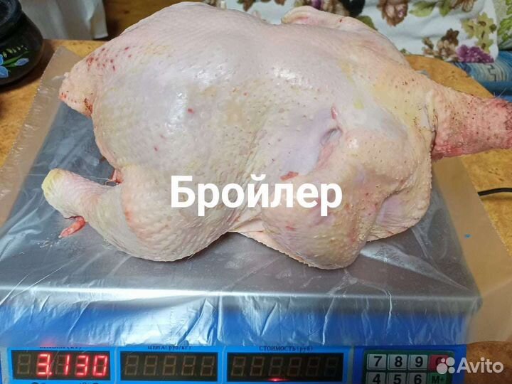 Мясо домашнего бройлера, мулард, гуся, курицы,утки