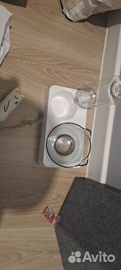 Когтеточка,лоток,миска с автопоилкой