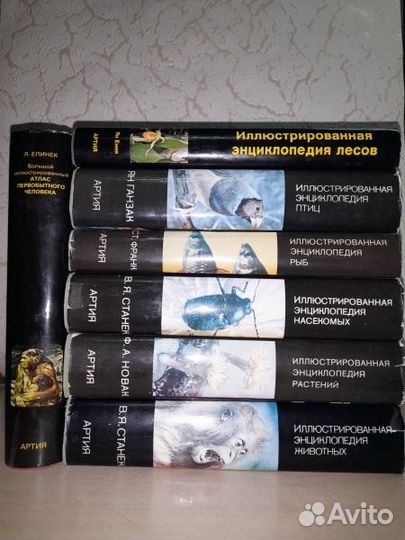 Иллюстрированная энциклопедия в семи книгах