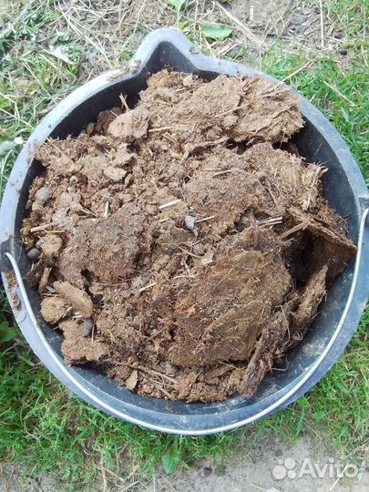 Козий навоз