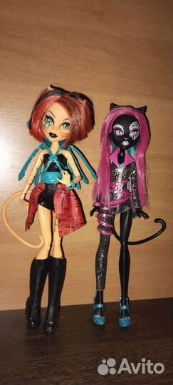 Monster high Кетти Нуар, Тора