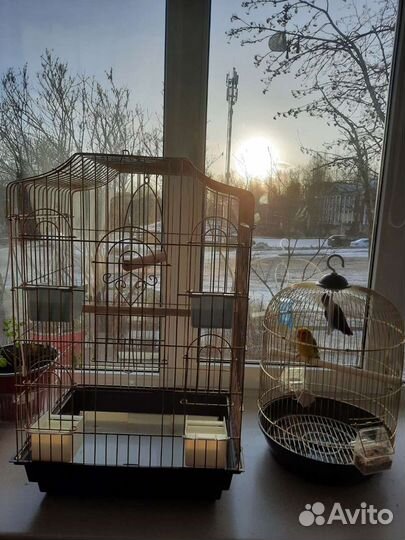Клетка для попугая