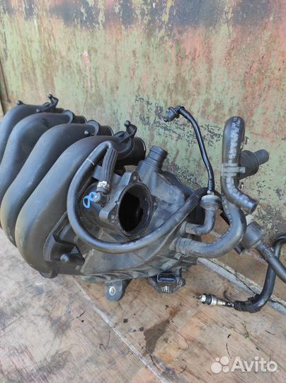 Впускной коллектор Passat B6 Golf V 2.0 FSI