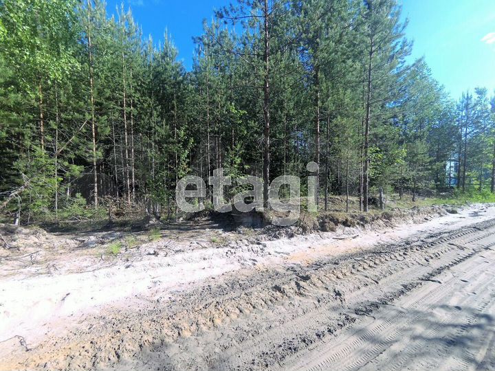 Участок 10 сот. (СНТ, ДНП)