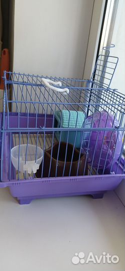 Клетка для джунгарского хомяка
