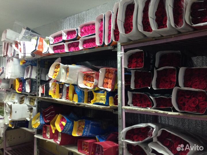 Цветы оптом