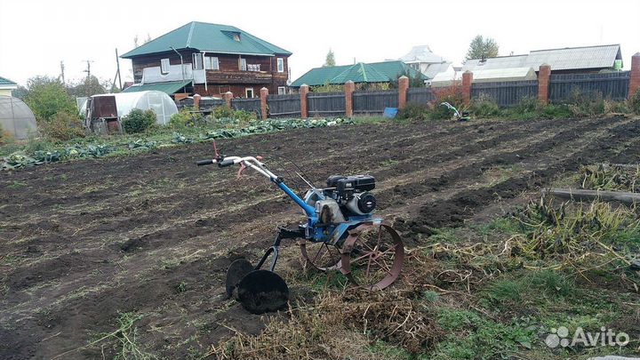 Помощь на даче и огороде, копка картофеля, уборка