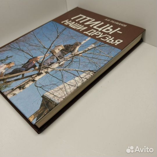 Птицы - наши друзья Рахманов Александр Иванович