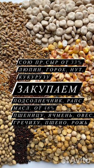 Пшеница, кукуруза, соя, горох, ячмень