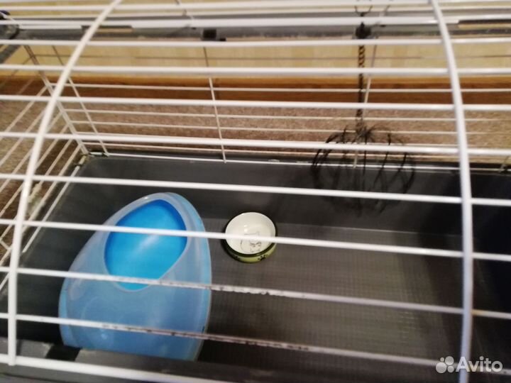 Клетка для грызунов или кроликов ferplast