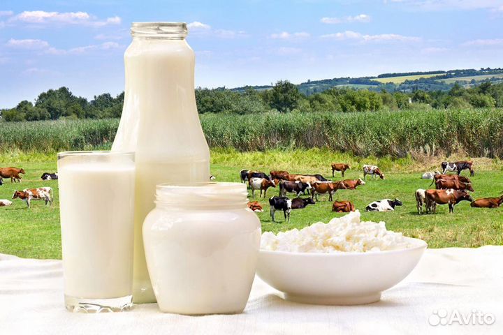 Работник молочного завода. Вахта с проживанием