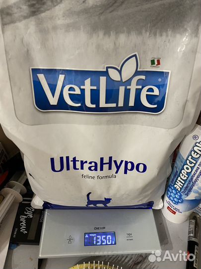 Кошачий сухой корм