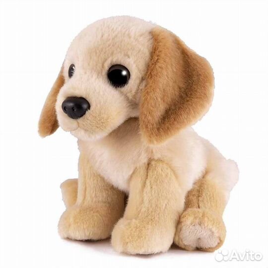 Мягкая Игрушка Собака Лабрадор 20 см Maxi Life MT