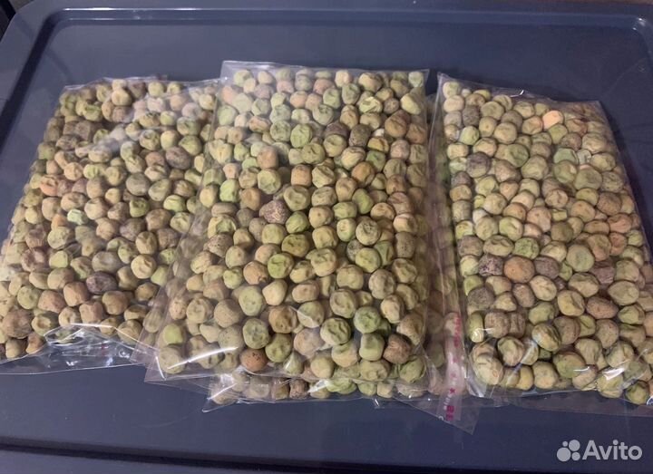 Горох сортовой