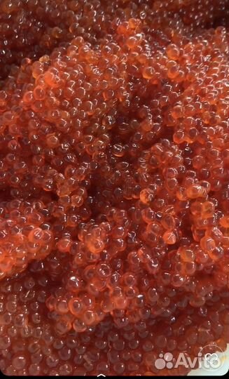 Икра красная от лучших производителей Камчатки