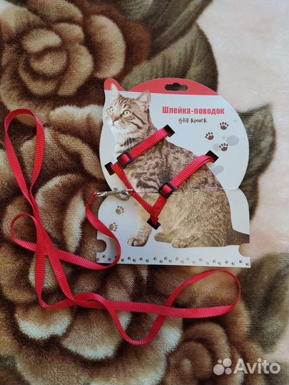 Шлейка для кошки