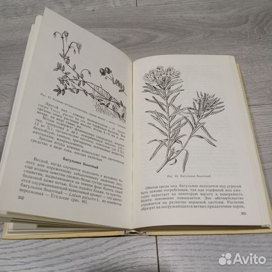 Лекарственные растения