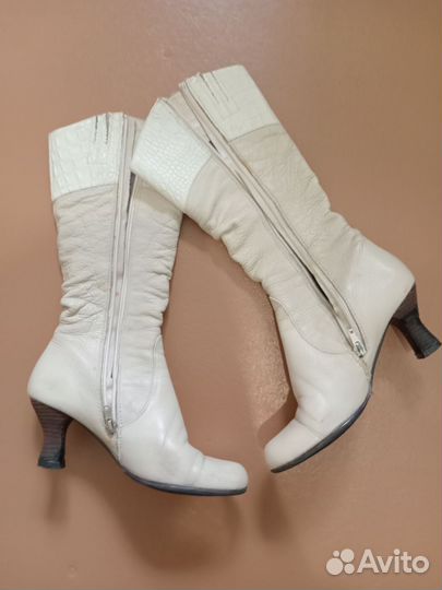 Сапоги женские
