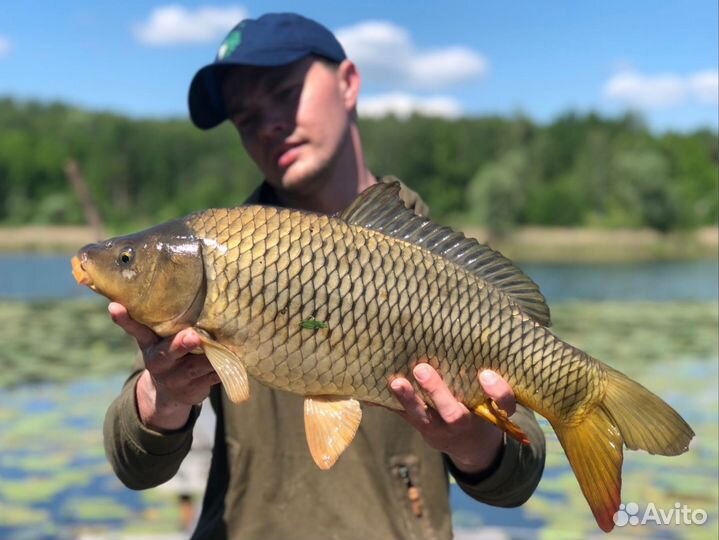 Карповая рыбалка в Нижегородской области