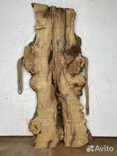 Слэб дерева