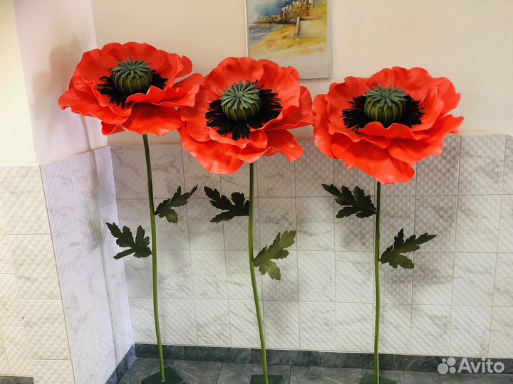 Ростовые маки (аренда/продажа)