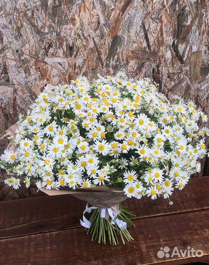 Ромашки Букет из ромашек доставка