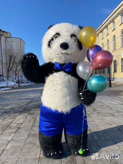 Бело черный мишка аниматор праздник