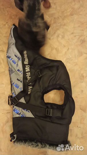 Жилет для собак