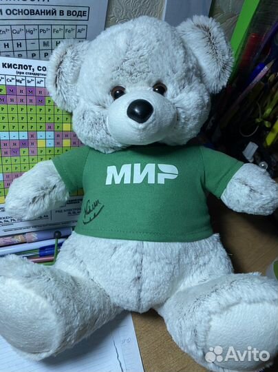 Мишка С авторграфом Камилы Валиевой