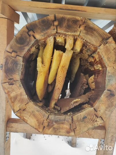 Продам колоду для пчел