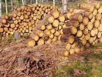 Сосна сухие дрова