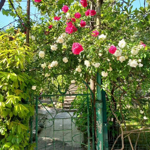 3-к. квартира, 15 м² (Абхазия)