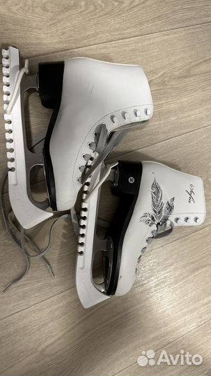 Коньки nordway sofia