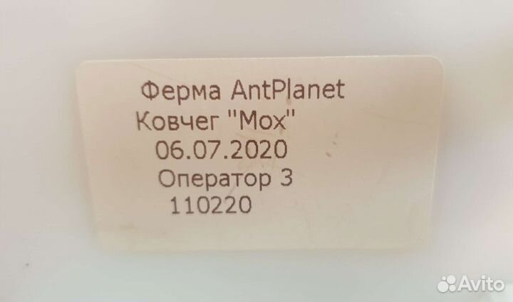 Формикарий для муравьев