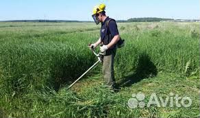 Услуги покоса травы