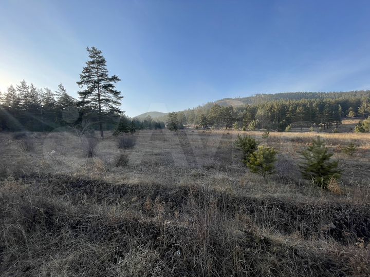 Участок 22 сот. (ИЖС)