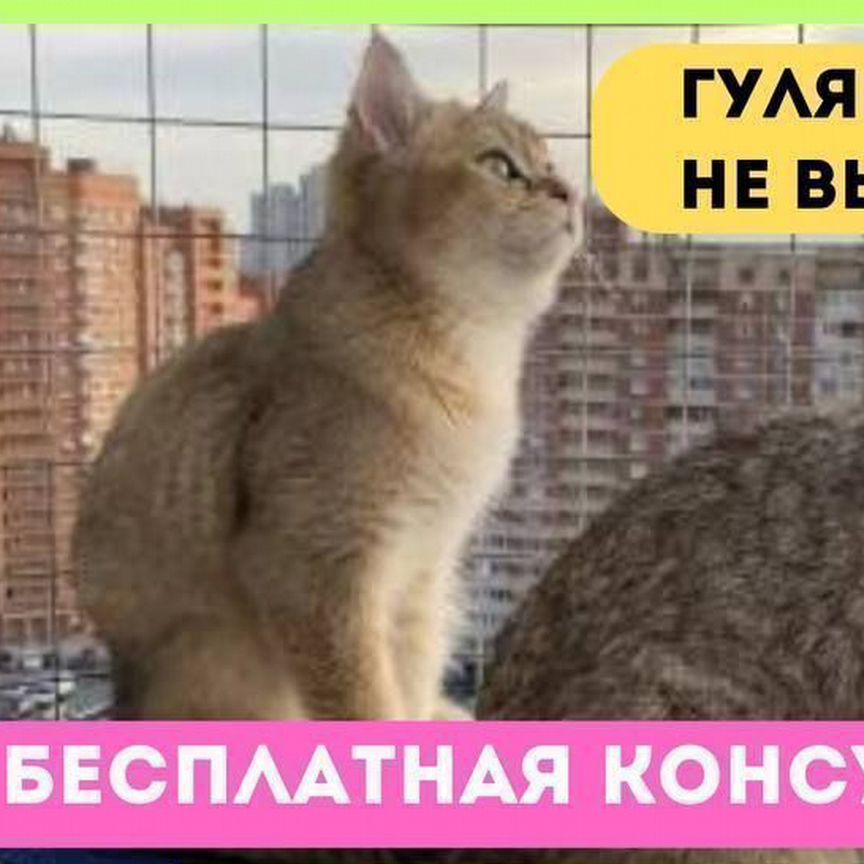 Вольер для кошек на окна