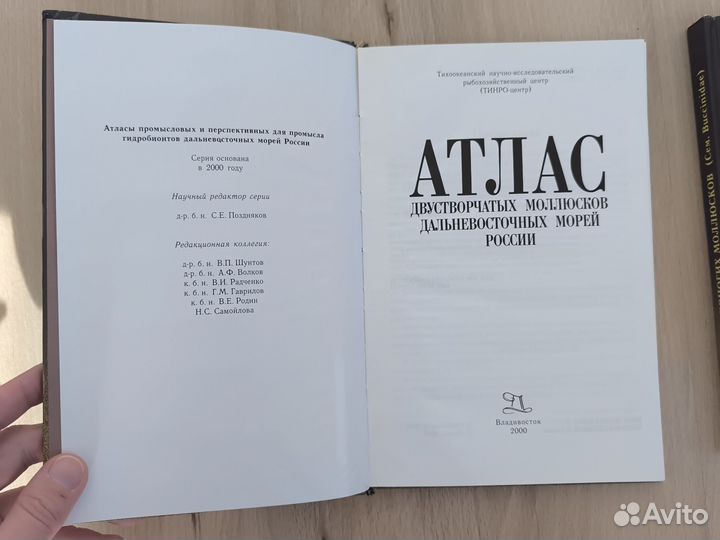 Атлас моллюски Дальневосточных морей