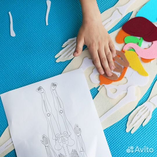 Анатомия человека - Монтессори пособие из фетра