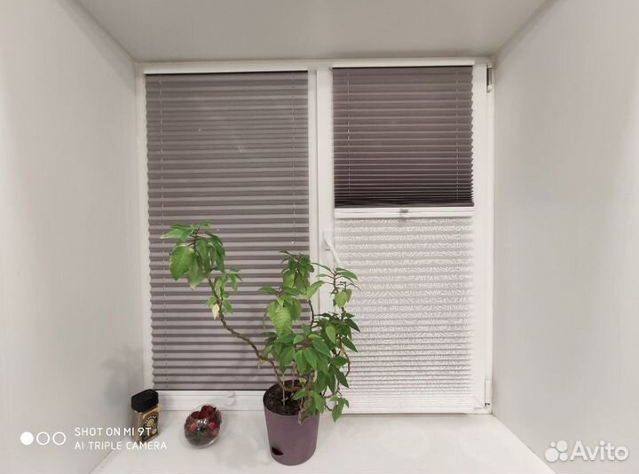 Плиссерованные жалюзи