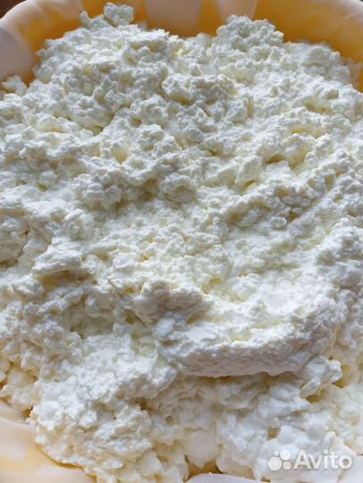 Молоко коровье домашнее