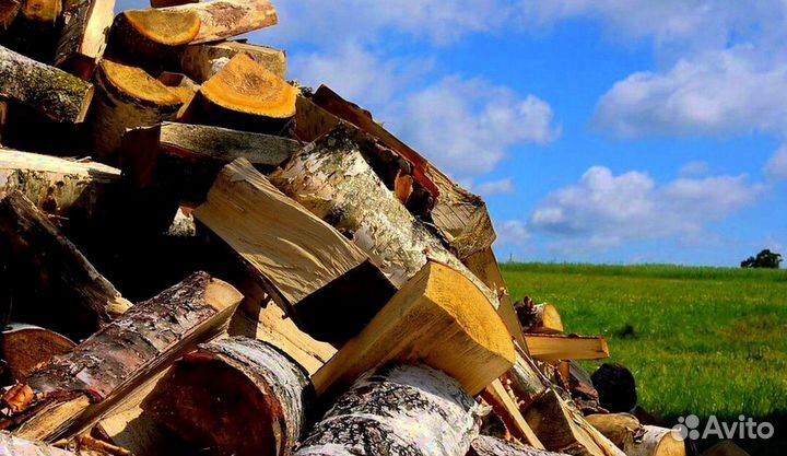Зимние дрова
