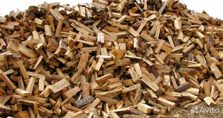 Дрова без плесени