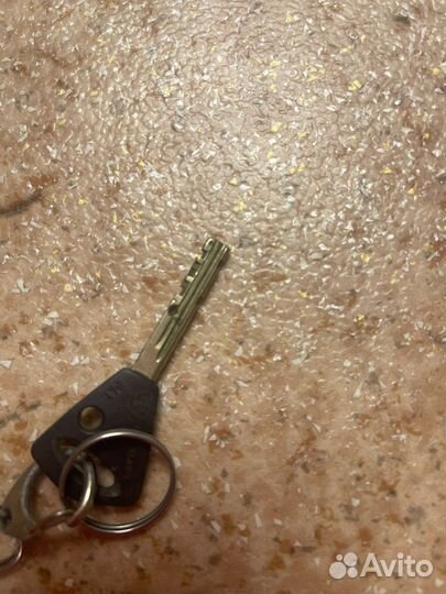 Противоугонное устройство флим