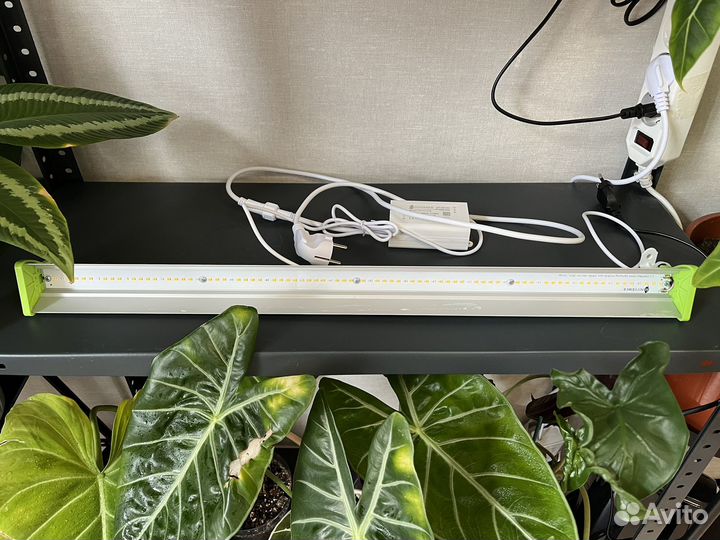 Фито лампа minifermer бу