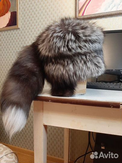 Меховая шапка