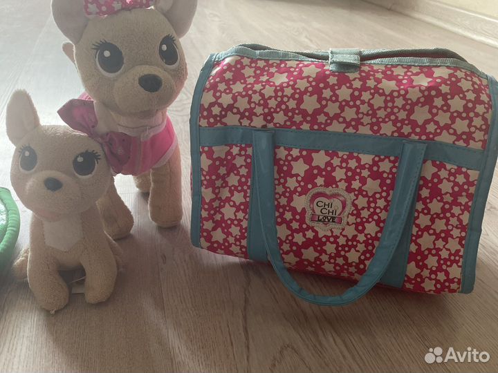 Chi chi love чичилав собака