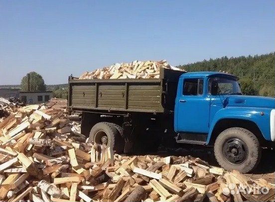 Дрова березовые бесплатно