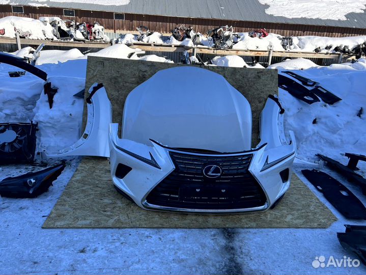 Ноускат Lexus NX 2021