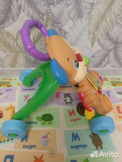 Каталка-ходунки Fisher-Price Ученый Щенок FRC93